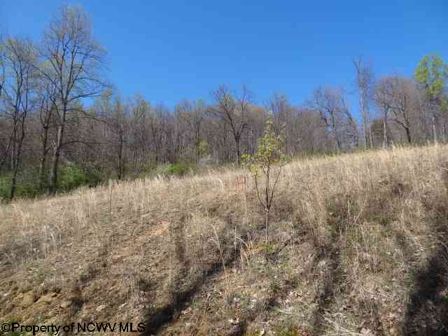 Lot 35 Pine Ridge Drive, Grafton, WV 26354