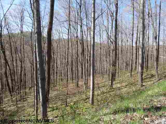 Lot 6 Poplar Drive, Grafton, WV 26354