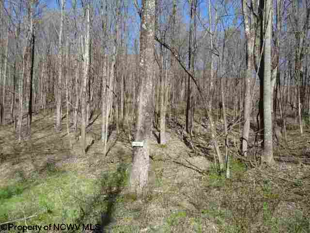 Lot 12 Poplar Drive, Grafton, WV 26354