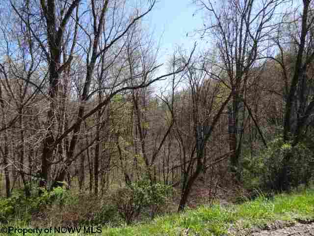 Lot 42 Stonecrest Drive, Grafton, WV 26354