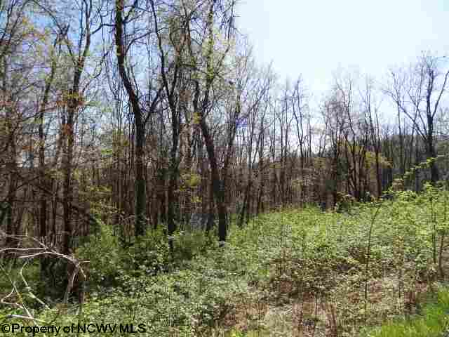 Lot 36 Stonecrest Drive, Grafton, WV 26354