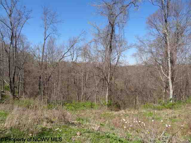 Lot 43 Stonecrest Drive, Grafton, WV 26354