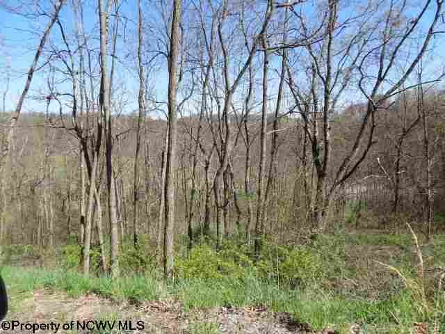 Lot 41 Stonecrest Drive, Grafton, WV 26354