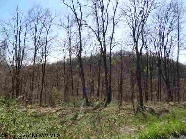Lot 37 Pine Ridge Drive, Grafton, WV 26354