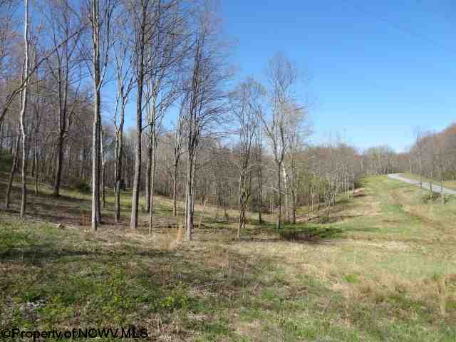 Lot 14 Poplar Drive, Grafton, WV 26354