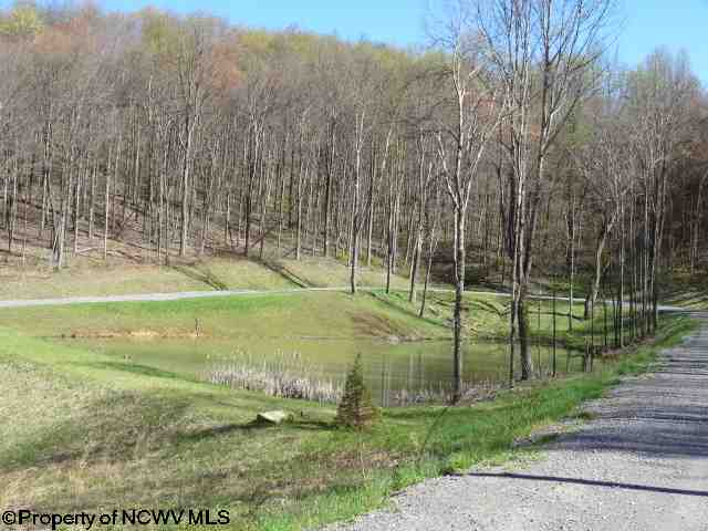 Lot 14 Poplar Drive, Grafton, WV 26354
