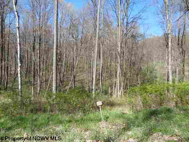 Lot 13 Poplar Drive, Grafton, WV 26354