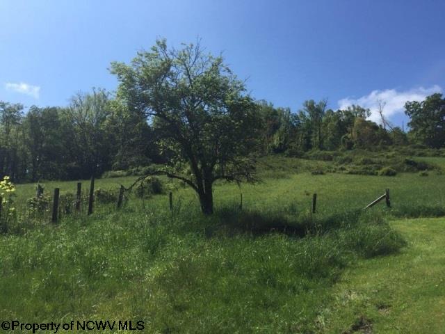 00 Lucretia Court, Grafton, WV 26354