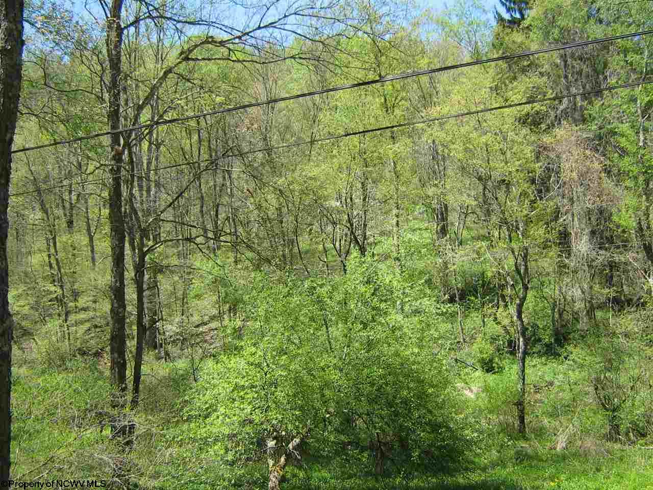 1700 Independence Road, Independence, WV 26374