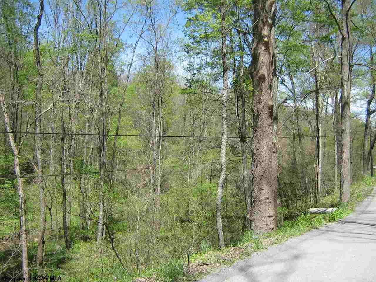 1700 Independence Road, Independence, WV 26374
