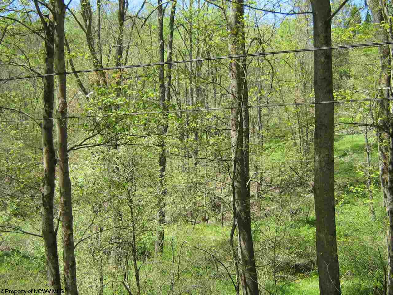 1700 Independence Road, Independence, WV 26374