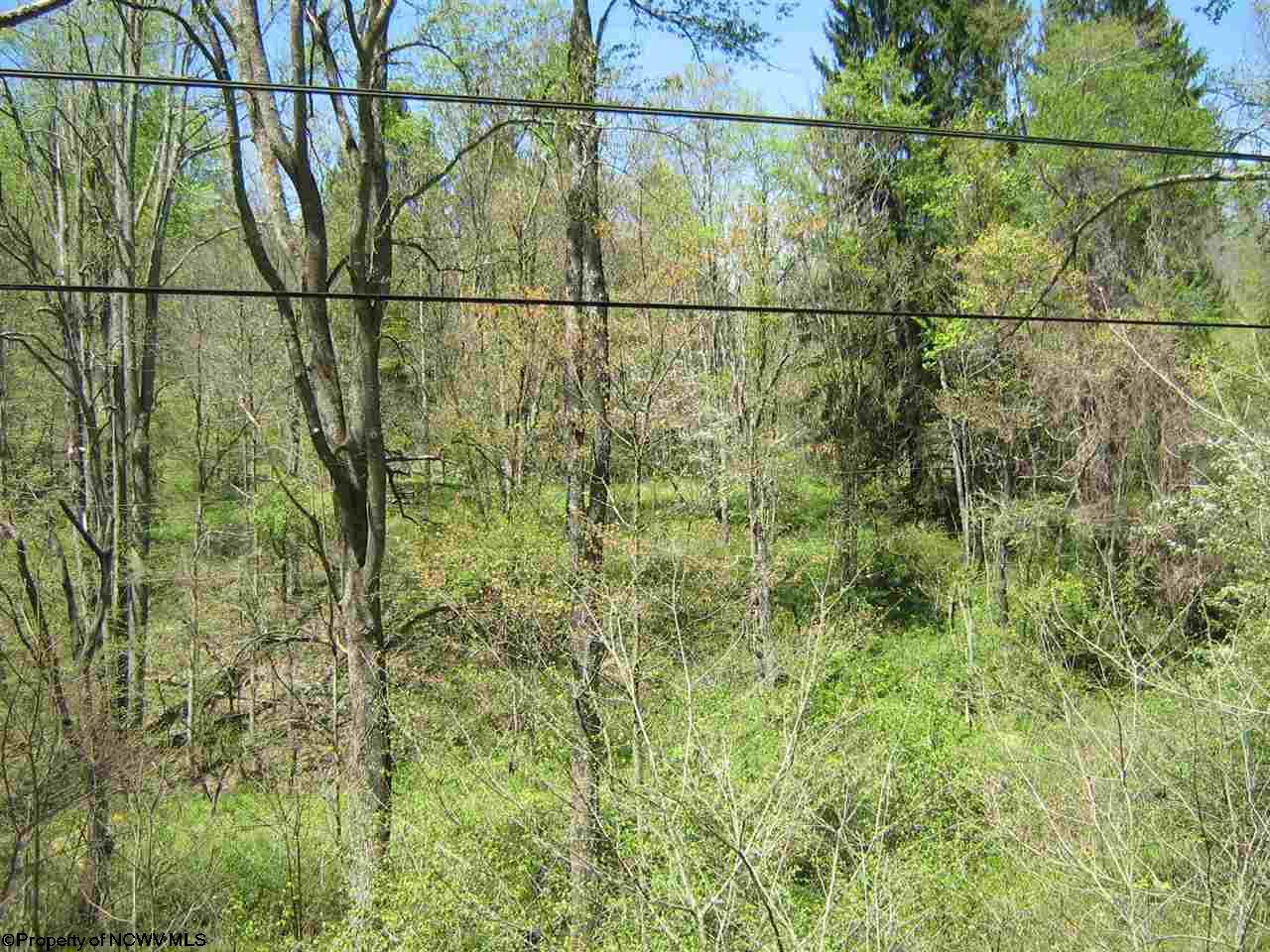 1700 Independence Road, Independence, WV 26374