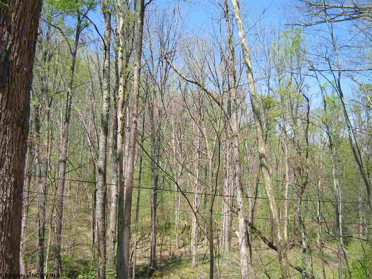 1700 Independence Road, Independence, WV 26374