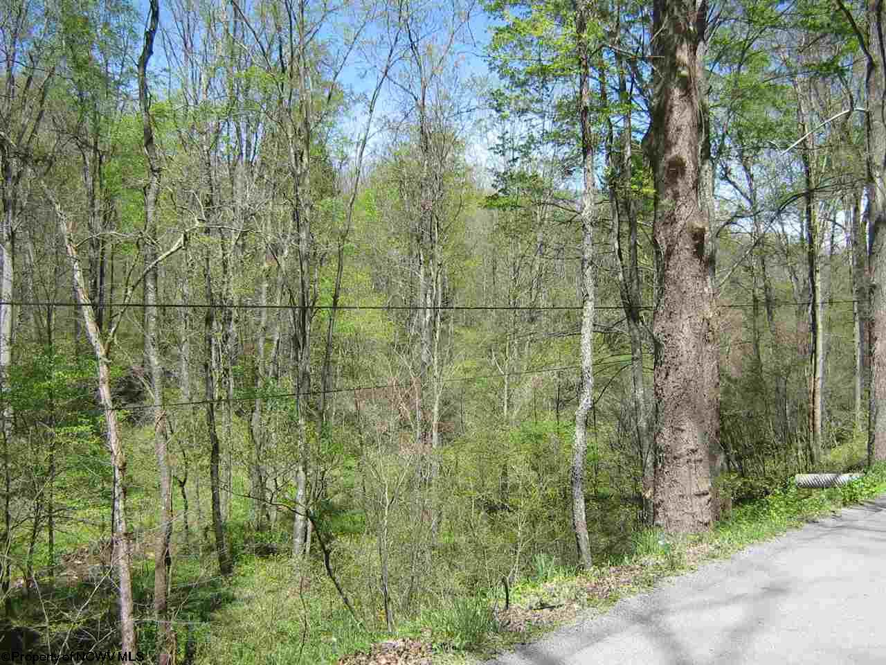 1700 Independence Road, Independence, WV 26374