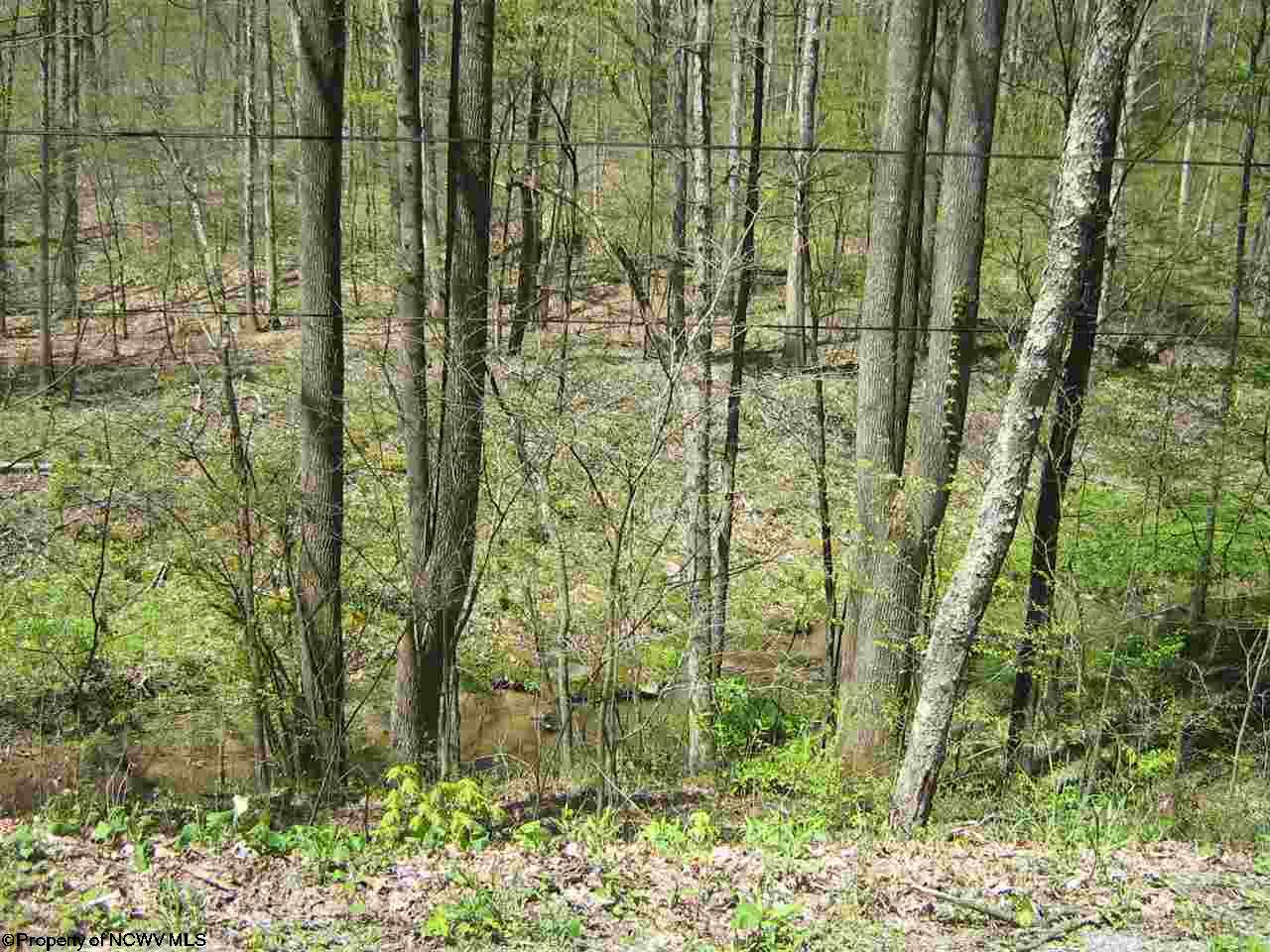 1700 Independence Road, Independence, WV 26374