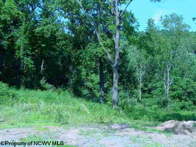 Lot 48 Poplar Street, Jane Lew, WV 26378