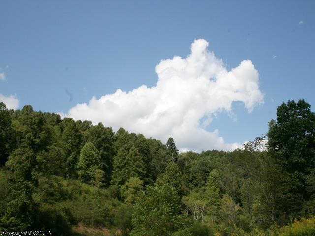 19.25 Ac Sand Fork Road