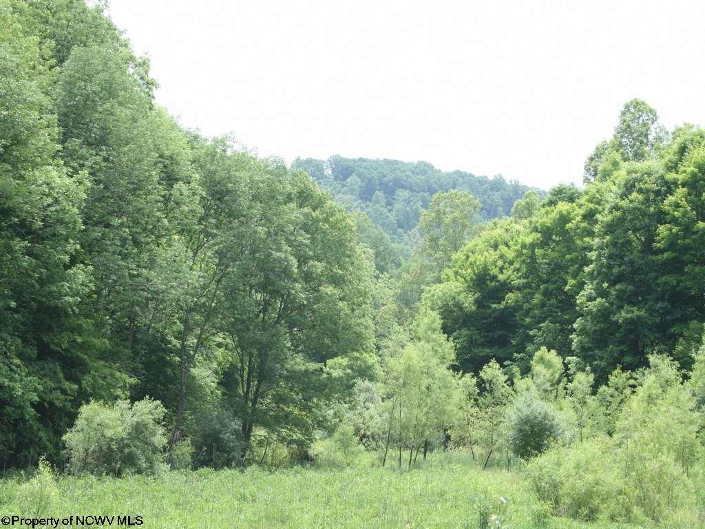 19.25 Ac Sand Fork Road
