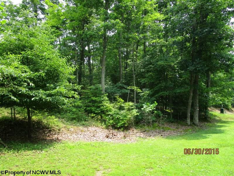 813 Mt. Liberty Road