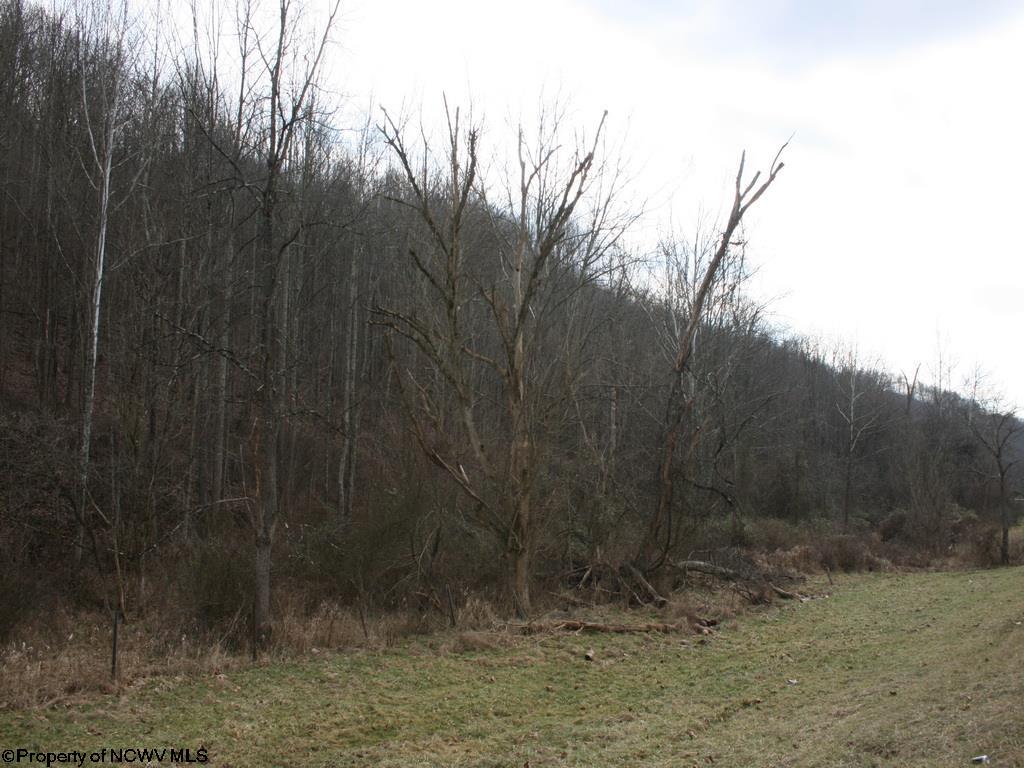 33.354 Ac Buckeye Run, Salem, WV 26426