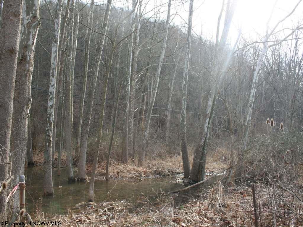 33.354 Ac Buckeye Run, Salem, WV 26426