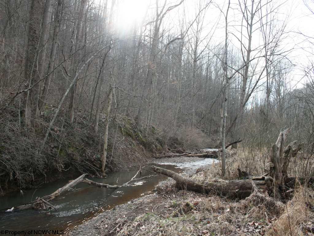 33.354 Ac Buckeye Run, Salem, WV 26426