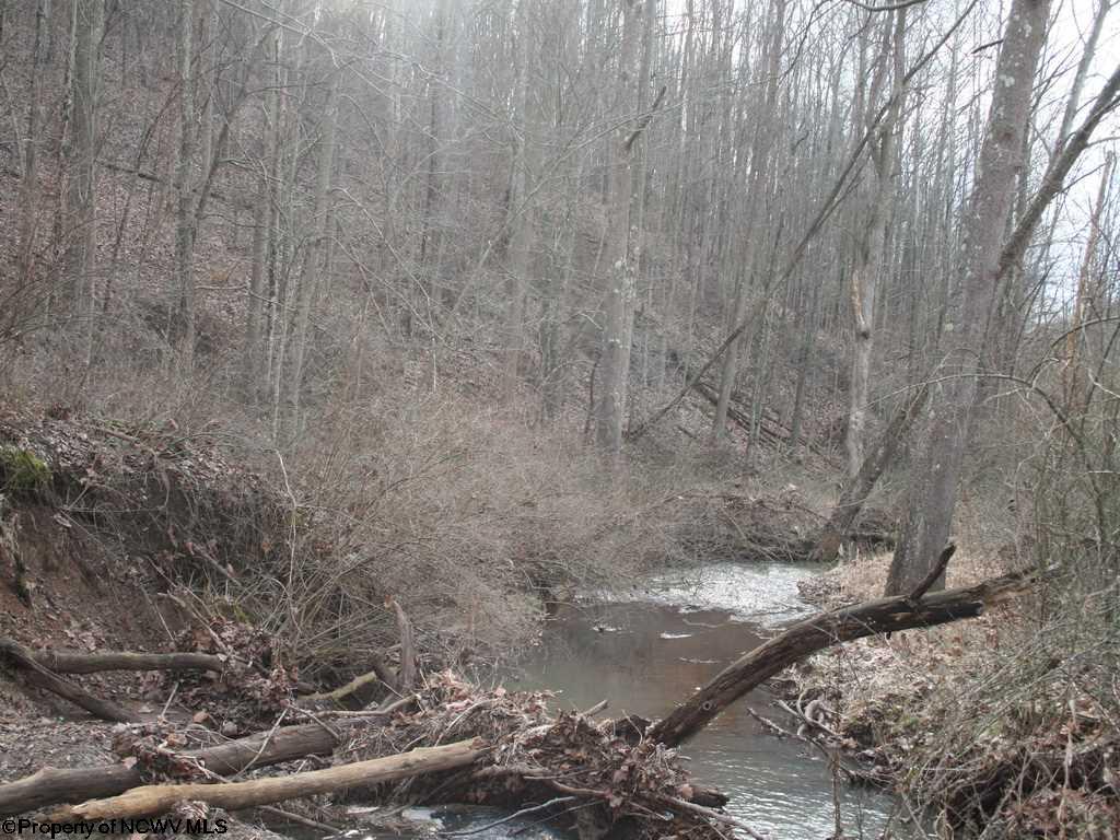 33.354 Ac Buckeye Run, Salem, WV 26426