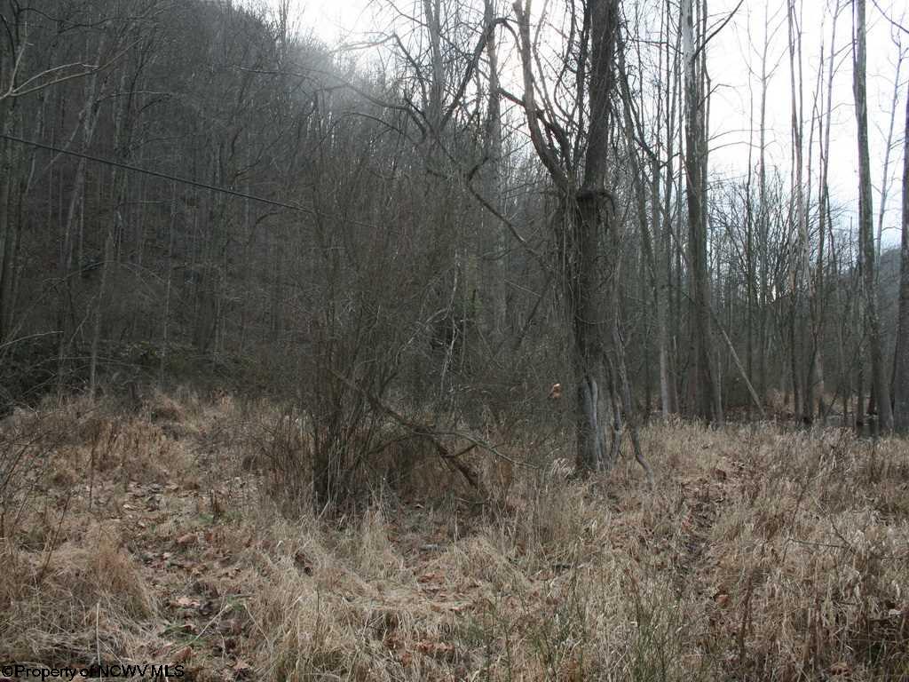 33.354 Ac Buckeye Run, Salem, WV 26426