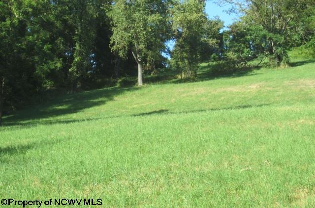 TBD S Pike Street, Shinnston, WV 26431