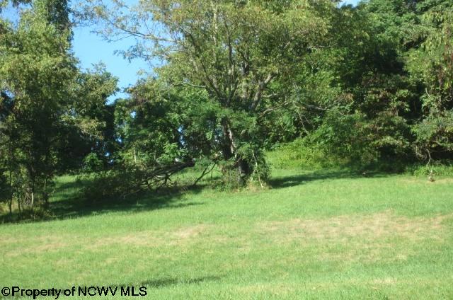 TBD S Pike Street, Shinnston, WV 26431