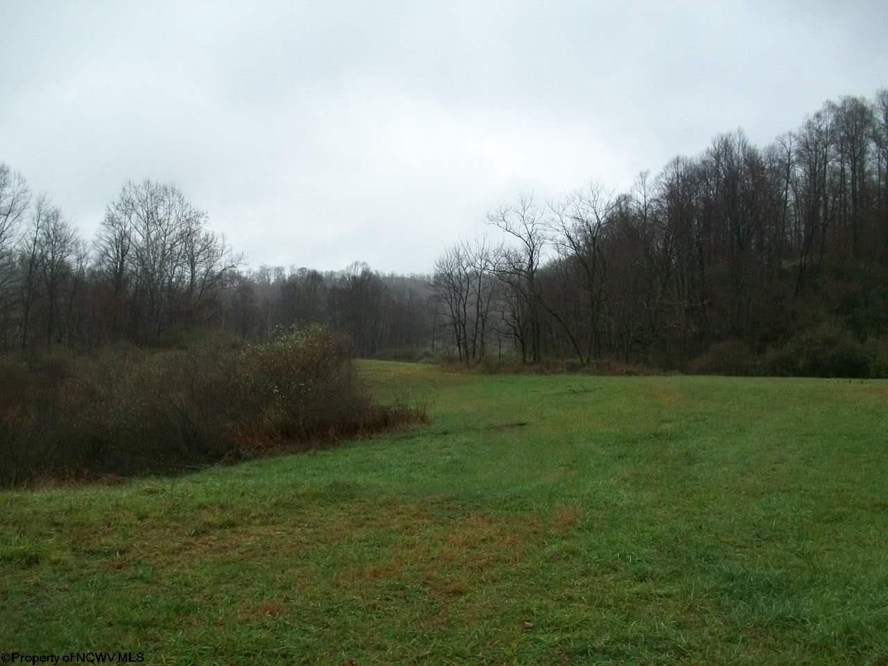Rr 2 Tract 6 Spring Haven Farms Estates