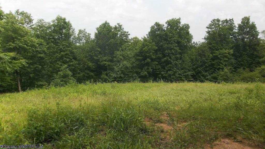 LOT 2 JACKSONS RIDGE @ STONEWALL LAKE Cove, Roanoke, WV 26447
