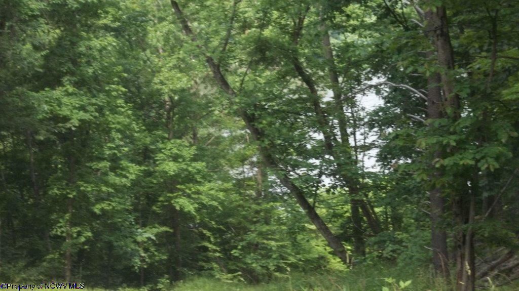 LOT 2 JACKSONS RIDGE @ STONEWALL LAKE Cove, Roanoke, WV 26447