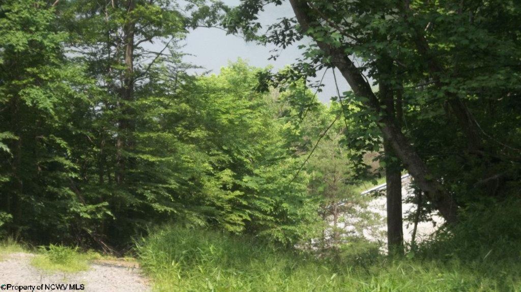 LOT 2 JACKSONS RIDGE @ STONEWALL LAKE Cove, Roanoke, WV 26447