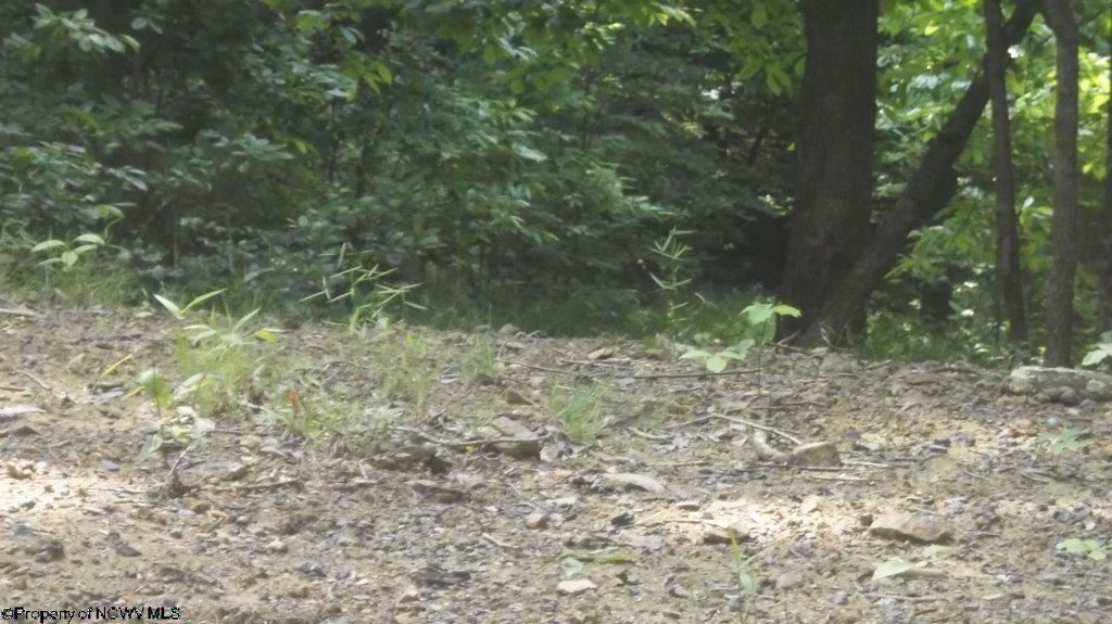 LOT 2 JACKSONS RIDGE @ STONEWALL LAKE Cove, Roanoke, WV 26447