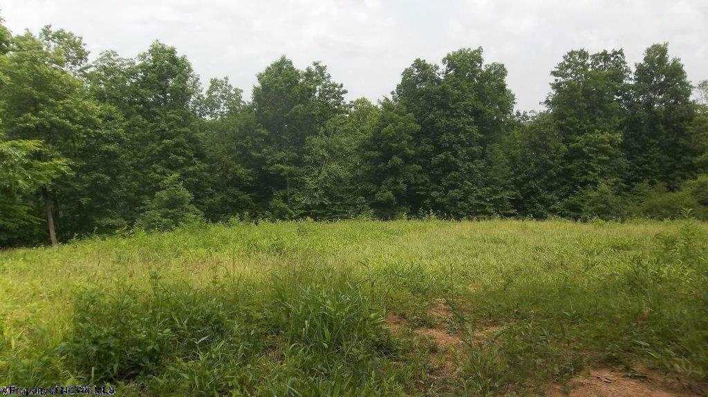 LOT 3 JACKSONS RIDGE @ STONEWALL LAKE Cove, Roanoke, WV 26447
