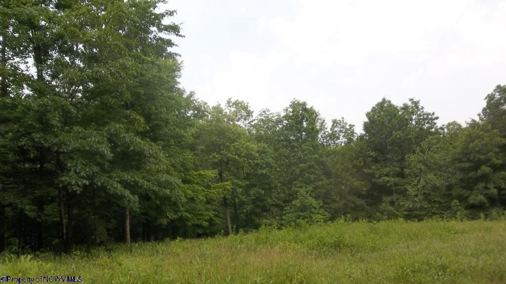 LOT 3 JACKSONS RIDGE @ STONEWALL LAKE Cove, Roanoke, WV 26447