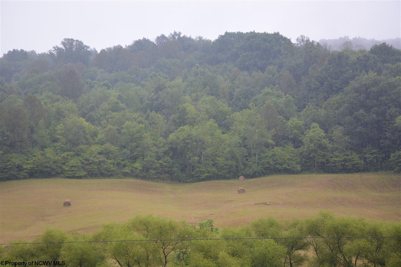 Ruth Run Road