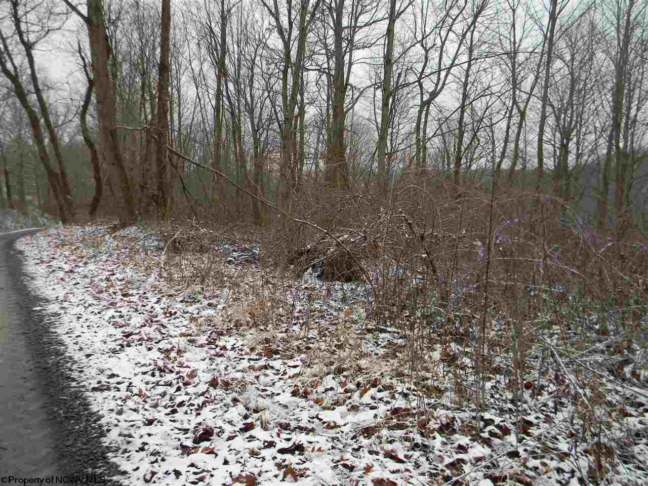 00 Coombs/Gabbertsville Road, Morgantown, WV 26501