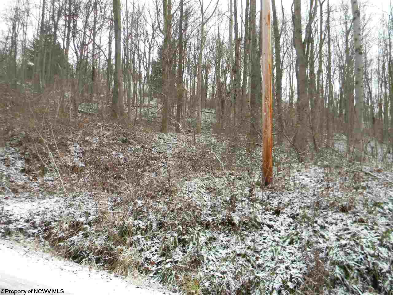 00 Coombs/Gabbertsville Road, Morgantown, WV 26501