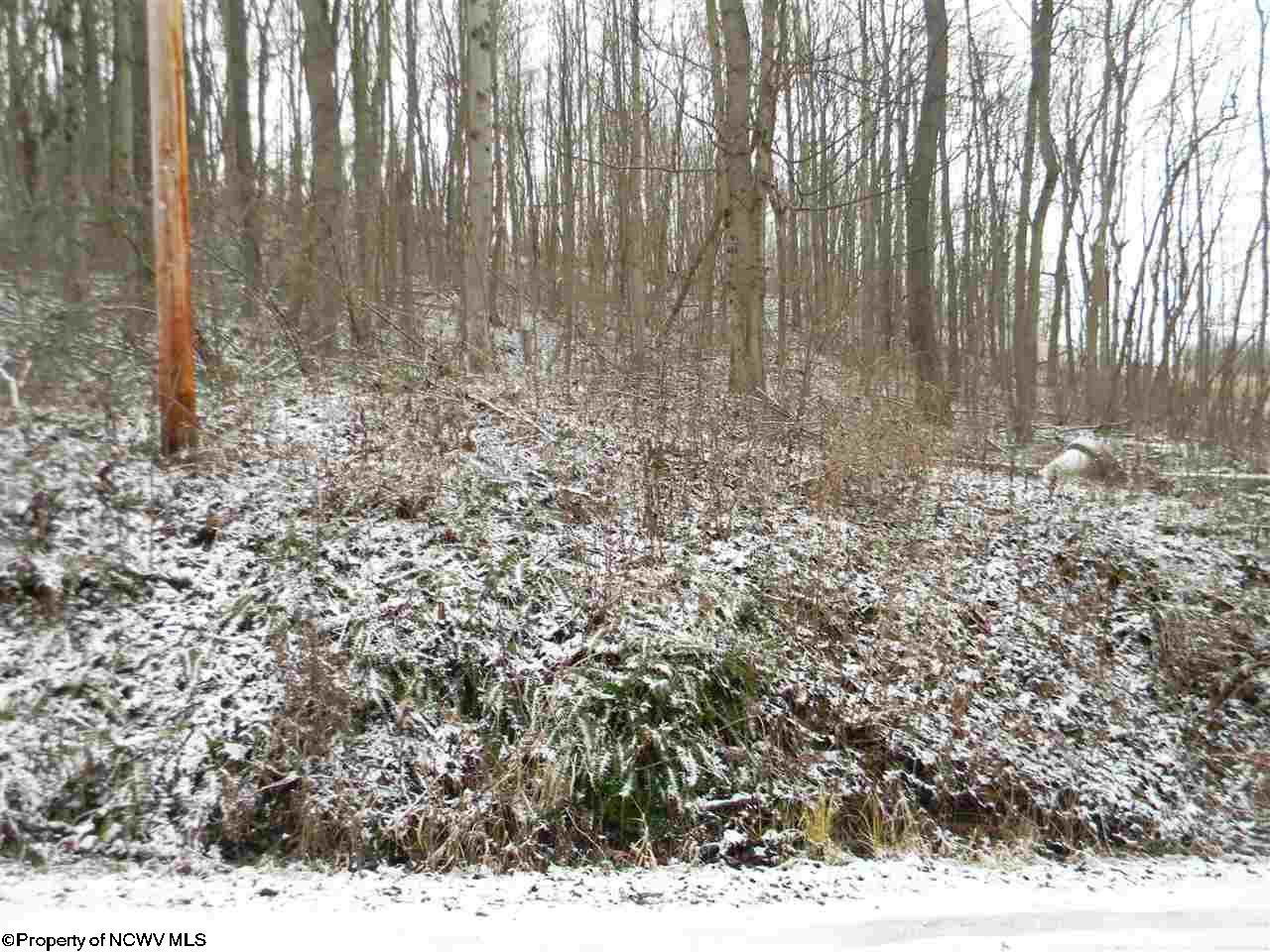 00 Coombs/Gabbertsville Road, Morgantown, WV 26501