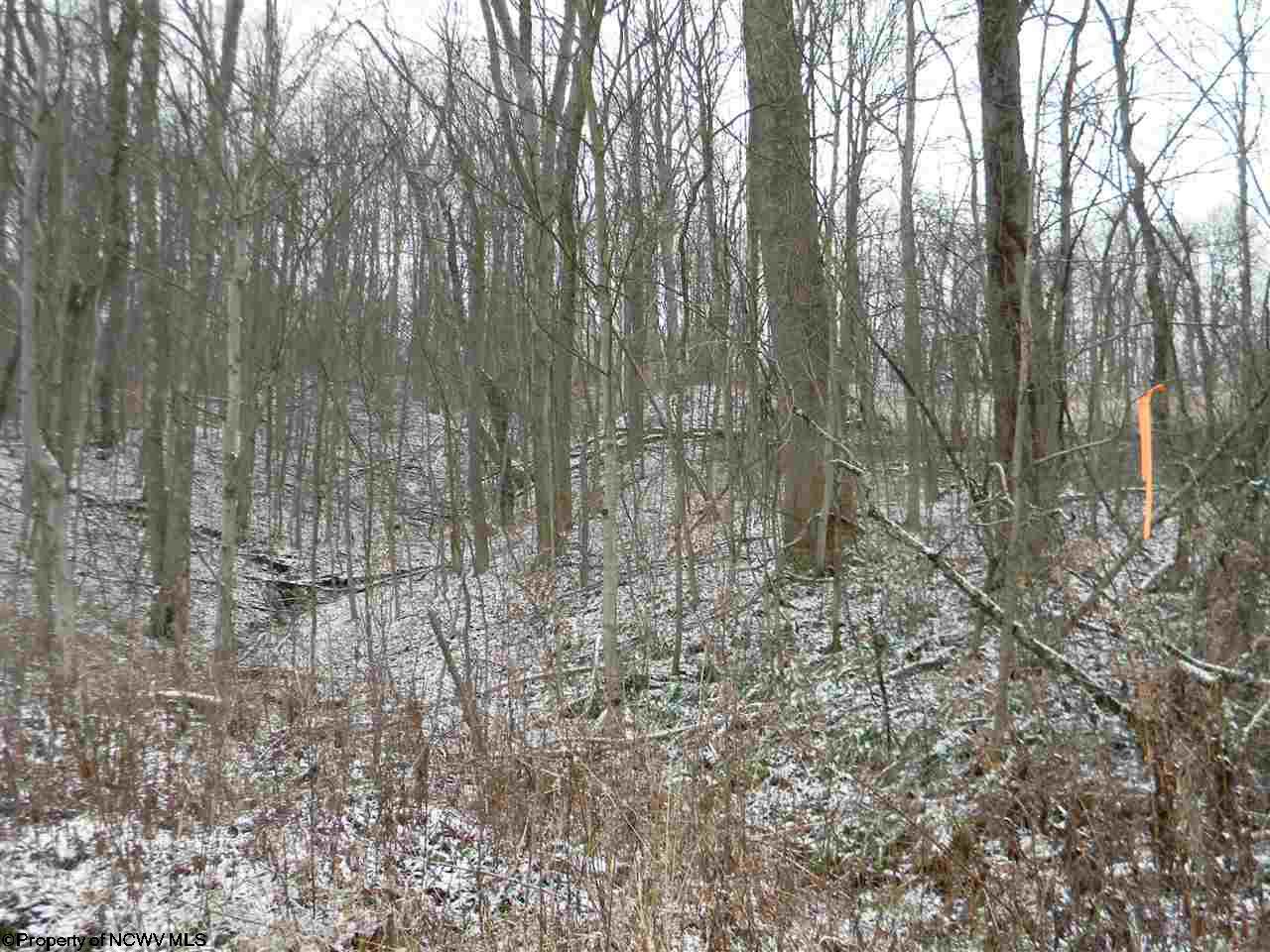 00 Coombs/Gabbertsville Road, Morgantown, WV 26501