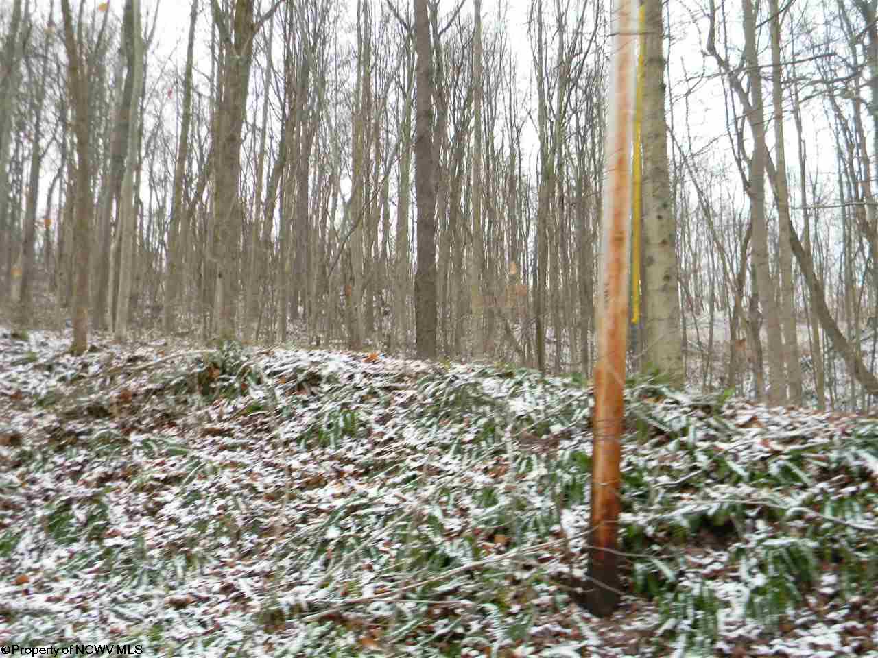 00 Coombs/Gabbertsville Road, Morgantown, WV 26501