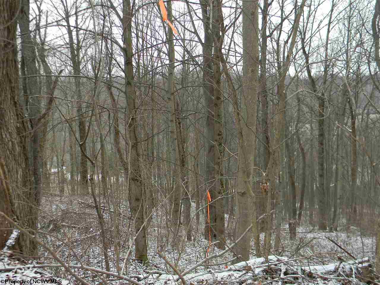 00 Coombs/Gabbertsville Road, Morgantown, WV 26501