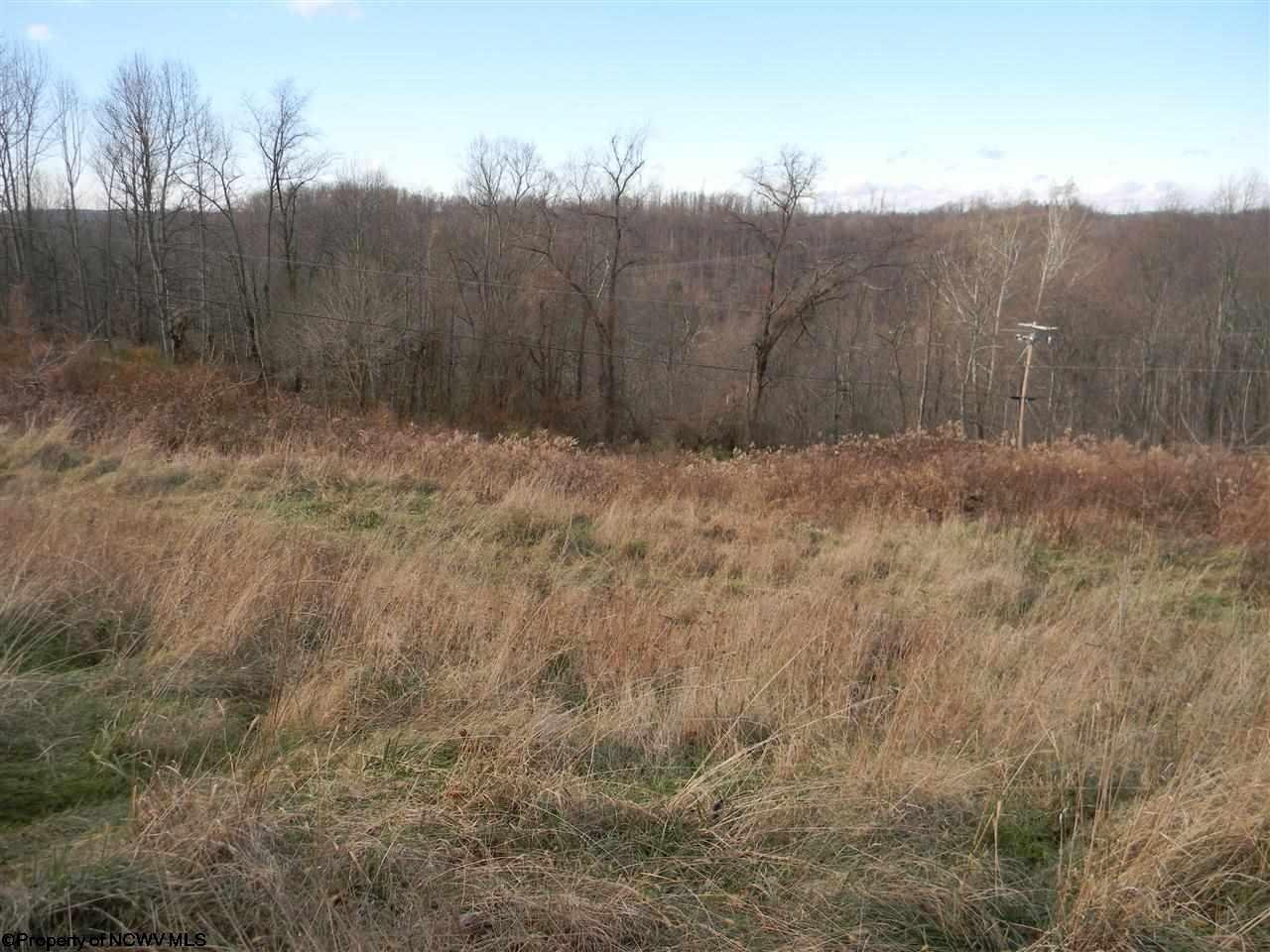 Hildebrand Lock & Dam Road, Morgantown, WV 26501