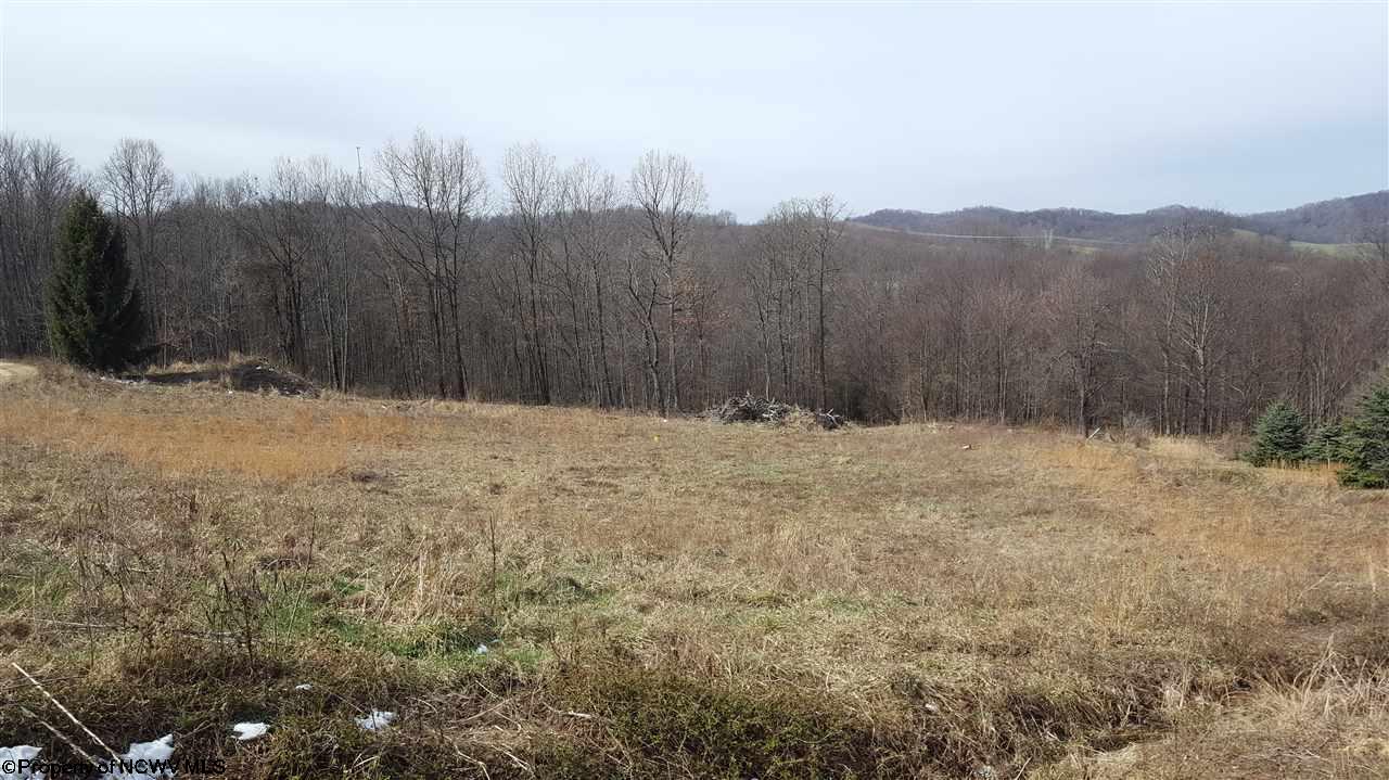 Mary Ann Lane, Morgantown, WV 26501