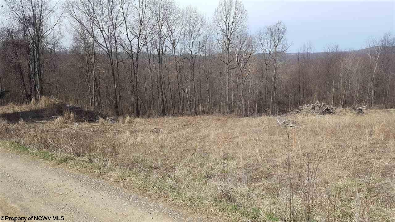 Mary Ann Lane, Morgantown, WV 26501