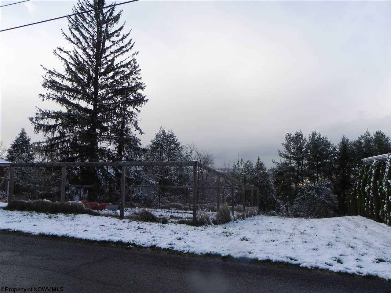 00 Sherman Avenue, Morgantown, WV 26501