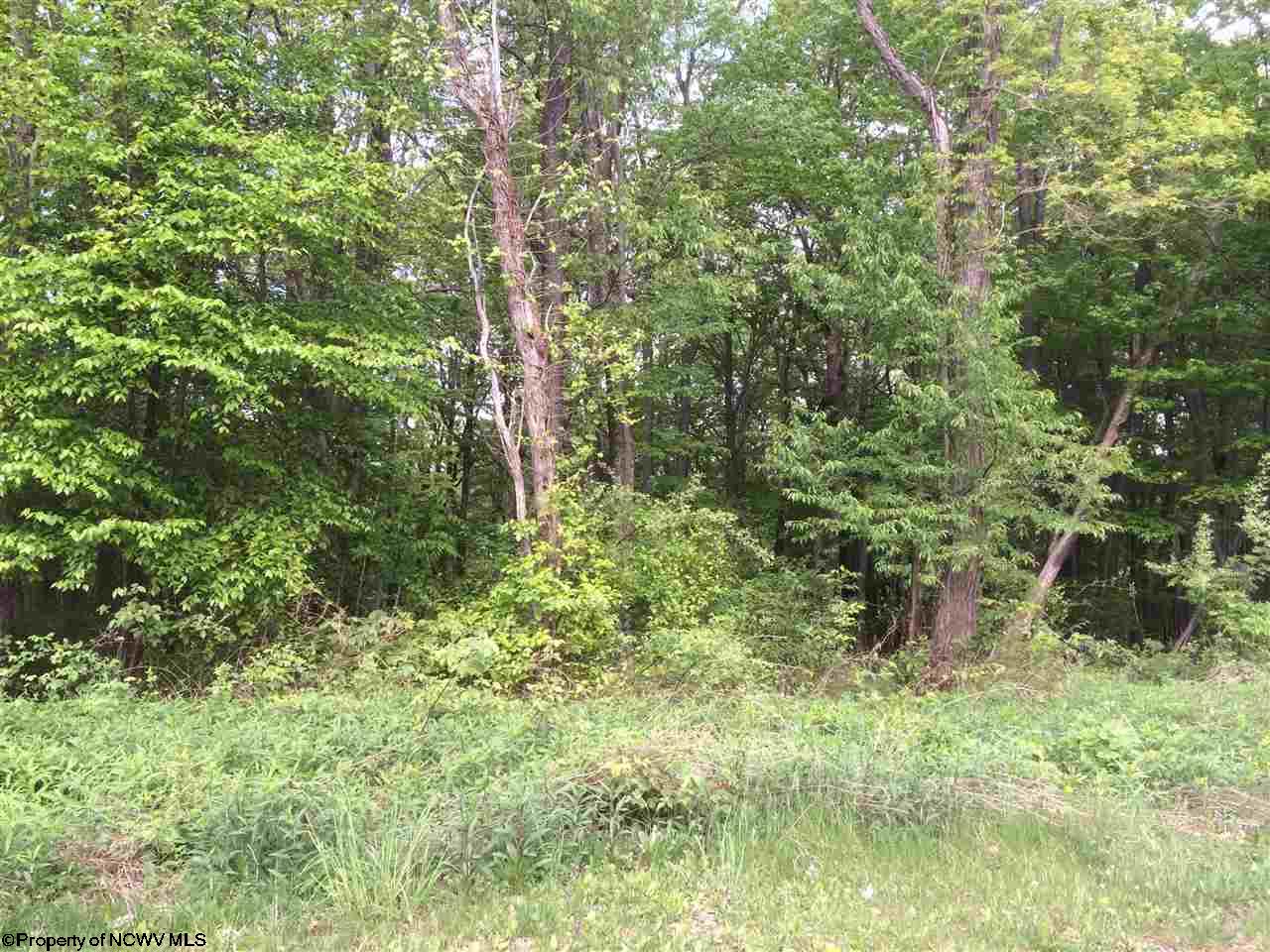 73 Green Acres Drive