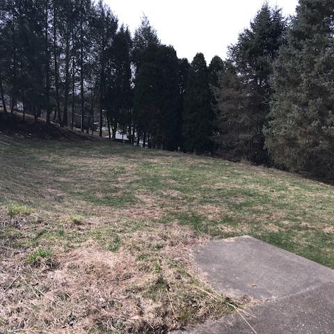 102 Maple LnMorgantown, WV, 26505Monongalia County